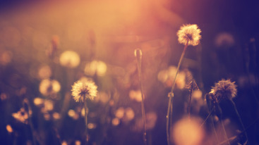 Places_04