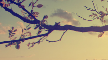 Places_10