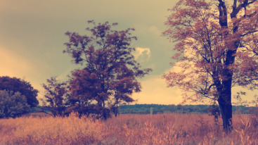 Places_09
