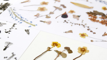 Stuff_05