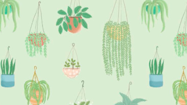 Thingswedo_3