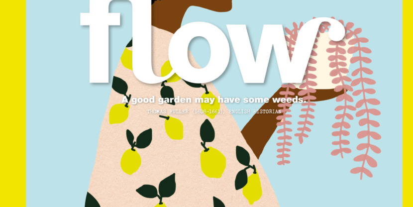 Issue 19