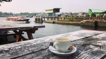 koffiemettammy