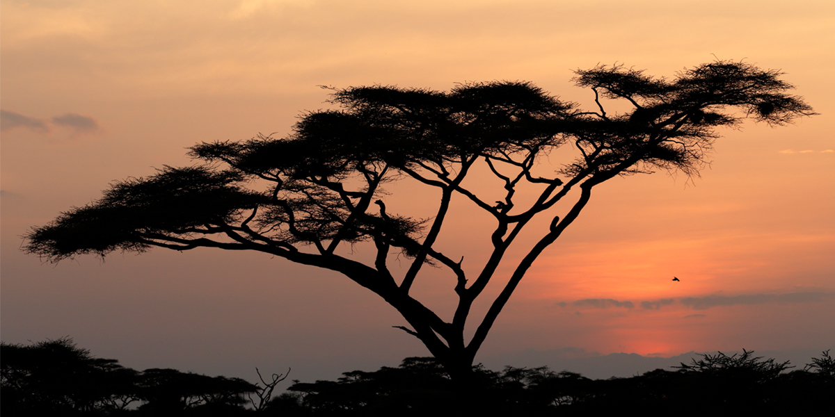 African philosophers