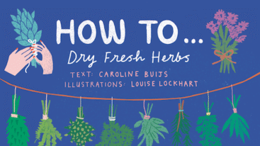 herbs