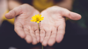 Giving