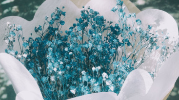 One bouquet per day