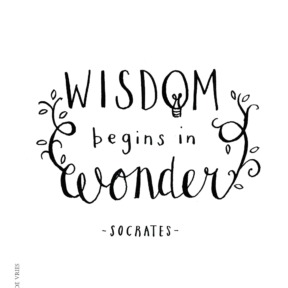 Quote Socrates