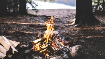alone in nature