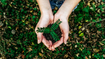 ecosia