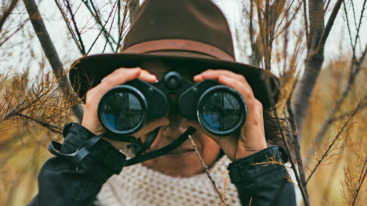 seeing
