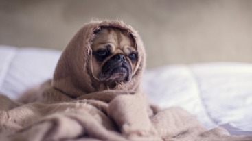 apps-wakker-worden