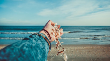 sea shells