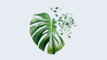 Doiy puzzle