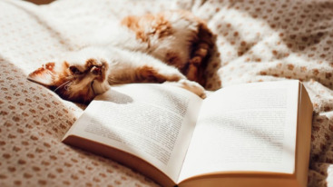 bedtime stories